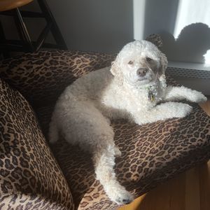 Meet your Posher, Jill